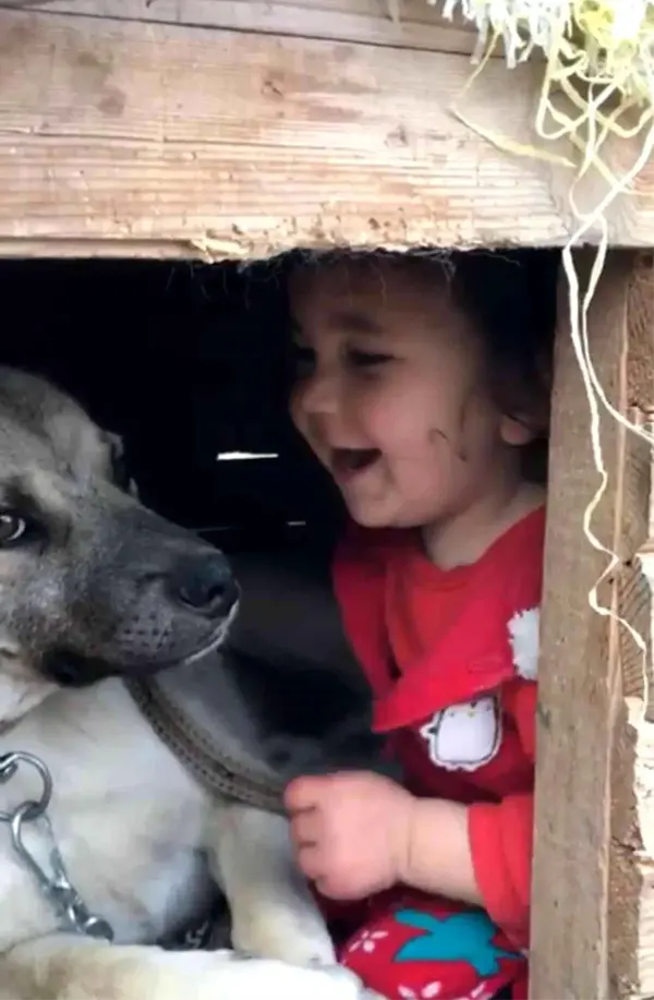 Erzurum gündem haberi... Erzurum'da Küçük çocuğun köpek sevgisi görenleri gülümsetti