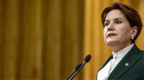 Meral Akşener: Bilim Kurulu tam karantina istedi, Erdoğan bunu reddetti