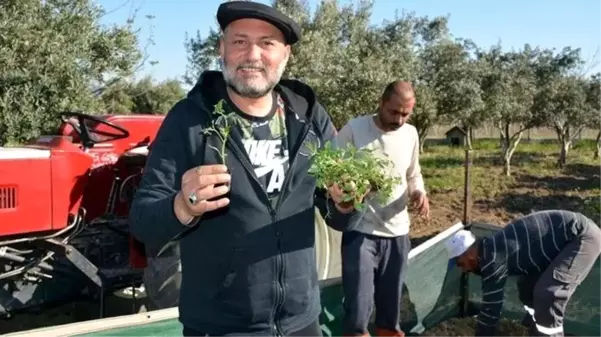 Klarnet ustası Hüsnü Şenlendirici'nin oğlu evlendi