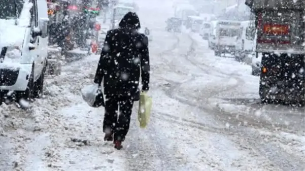 Yılın yarısını kar altında geçiren Karlıova'da, hiç koronavirüs vakası görülmedi