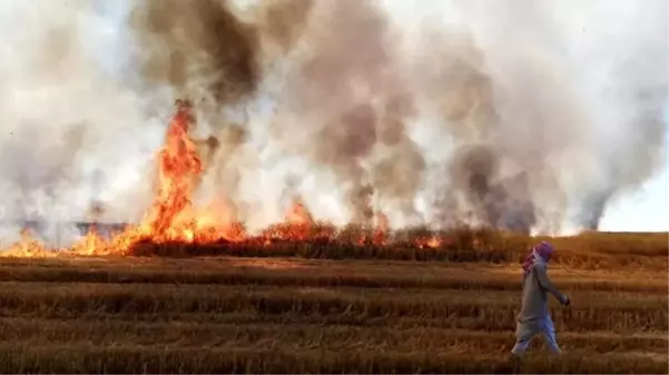 YPG/PKK'lı teröristler, Deyrizor'da sivillere ait tarım arazilerini yaktı