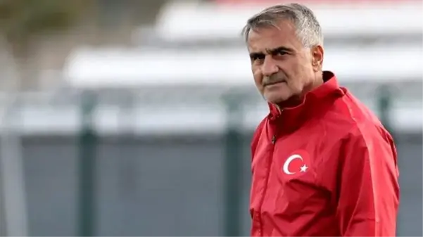 Şenol Güneş, EURO 2020'deki rakiplerine WhatsApp'tan seslendi: Atmosferi hayal et