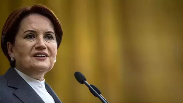 Meral Akşener, Cumhurbaşkanı'nın masasındaki erken seçim tarihini paylaştı