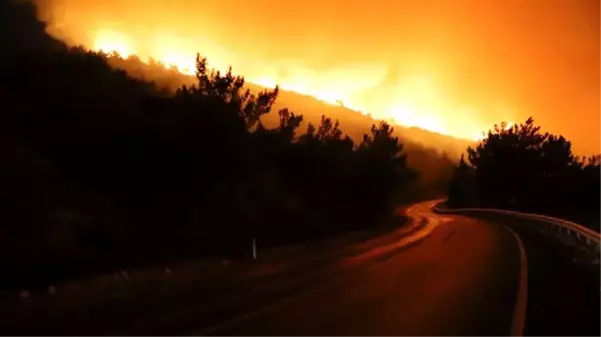 İzmir yanıyor! Yangın yola sıçradı, çevredeki siteler boşaltıldı