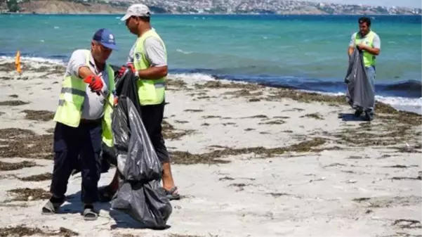 Tekirdağ'ın tatil beldesinde bayram sonrası sahilden 500 ton çöp toplandı