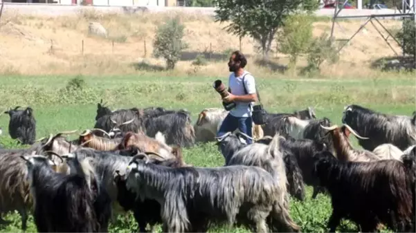 Sivaslı çoban, 25 bin liralık ekipman alarak başladığı doğa fotoğrafçılığında profesyonellere taş çıkarıyor