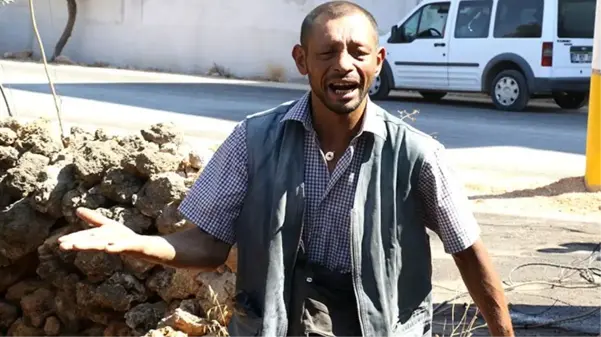 Küle dönen evine değil, ölen bıldırcınlarına üzüldü