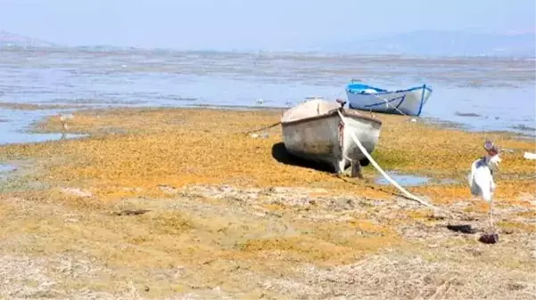 Marmara Gölü'nde su 500 metre çekildi, derinlik 1 metreye düştü