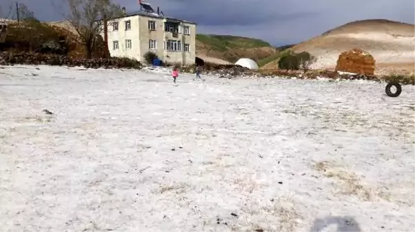 Ardahan'a kar gibi dolu yağdı! Vatandaşlar gözlerine inanamadı