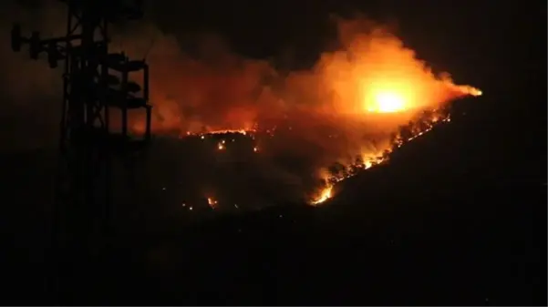 Hatay'da dün başlayan orman yangını sürüyor