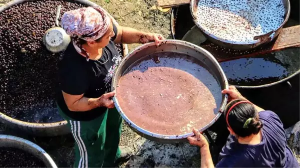 Binbir zahmetle üretilen defne yağının litresi 100 TL'ye satılıyor