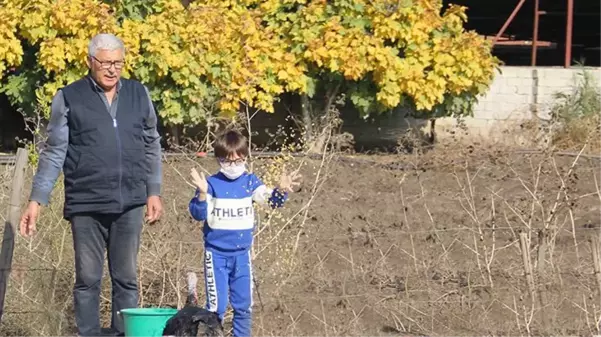 Torunun hindi sevgisi dedeyi yeni bir meslek sahibi yaptı