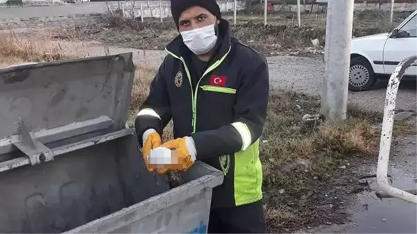 İşçiler gözlerine inanamadı! Canlı güvercinleri poşete koyup çöpe atmışlar