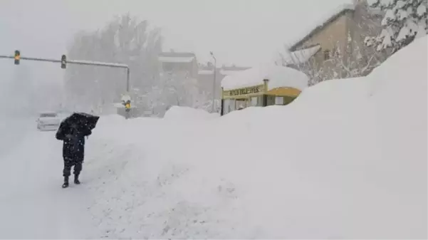 Bitlis'te kar yağışı kenti esir aldı! 290 köy yolu kapandı, evler, duraklar ve tabelalar kayboldu