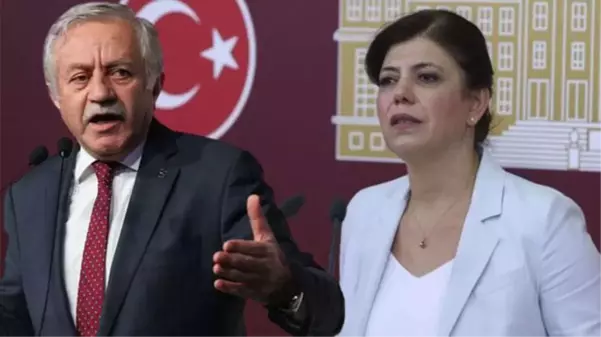 TBMM Başkanvekili, HDP'li vekilin yüzüne bakarak söyledi: Konuşmam sırtını PYD'ye dayayan alçaklara