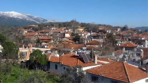 Bu zamana kadar tek vaka dahi görülmedi! İşte kırmızı şehrin mavi köyü Hacıarslanlar'ın başarı sırrı