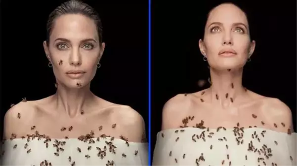 Kadın işçi istihdamı için kamera karşısına geçen Angelina Jolie, dakikalarca arılarla poz verdi