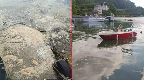 Deniz salyası şimdi de Karadeniz'de! Profesör yaklaşan tehlikeye dikkat çekti: Böyle giderse biz de karşı karşıya kalacağız