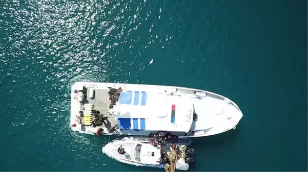 Kaçak avcıların acımasız planını polis bozdu! Film gibi operasyon anları