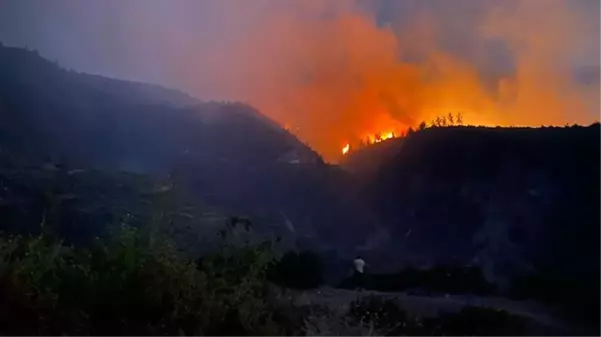 Orman yangını çıkarmaya çalışan yabancı uyruklu 2 PKK'lı terörist yakalandı