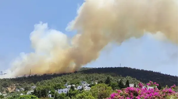 Bodrum'da yerleşim alanına 150 metre uzaklıkta yangın çıktı! Ekipler seferber oldu