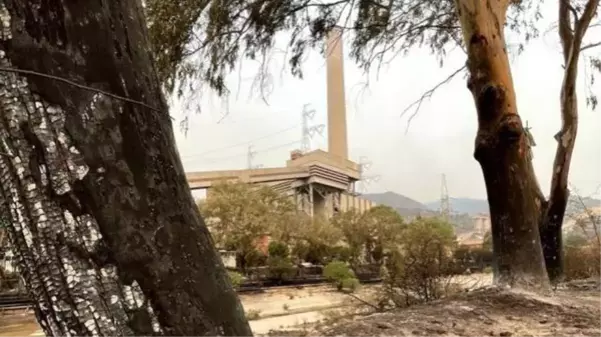 Son Dakika! Bakan Dönmez'den termik santraldeki yangınla ilgili açıklama: Santrali ve sağlığı tehdit eden bir durum yok