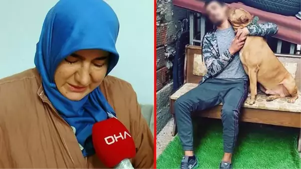 Yüzerken pitbull saldırısına uğrayıp can veren gencin acılı annesi isyan etti: Ciğerparem pisi pisine gitti