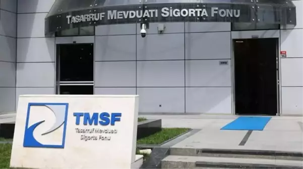 TMSF, Aynes Gıda'yı satışa çıkardı