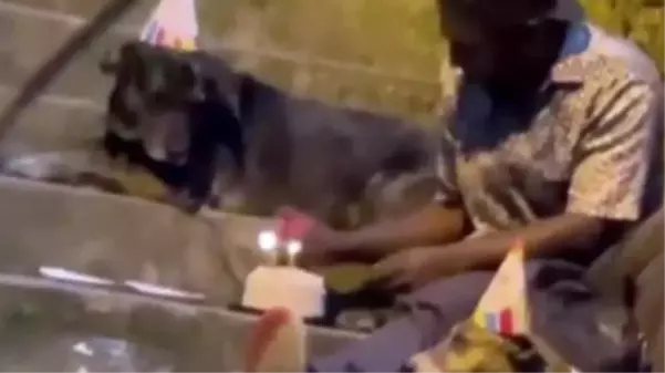 Evsiz adam doğum gününü köpeklerle kutladı, izleyenlerin gözleri doldu