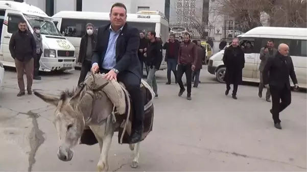 Akaryakıt fiyatlarını protesto eden Gelecek Partili ilçe başkanı eşekten düştü