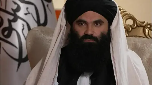 Taliban'nın ABD sempatisi: Düşman olarak görmüyoruz