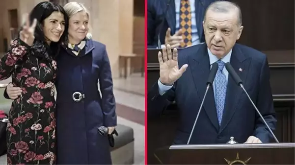 Cumhurbaşkanı Erdoğan ve Andersson'un olumlu görüşmesi, İsveç'i karıştırdı! PKK üyesi vekil çılgına döndü