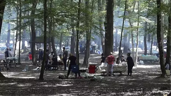 İstanbul'da ormanlık alanlara giriş yasaklandı! İşte kısıtlama kapsamına alınan yerler