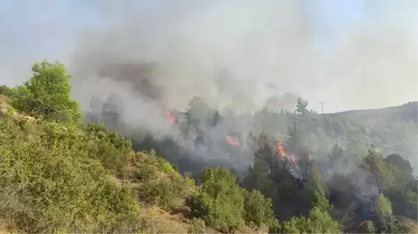 Manisa'da rüzgarın etkisiyle büyüyen yangın, havadan ve karadan müdahaleyle kontrol altına alındı