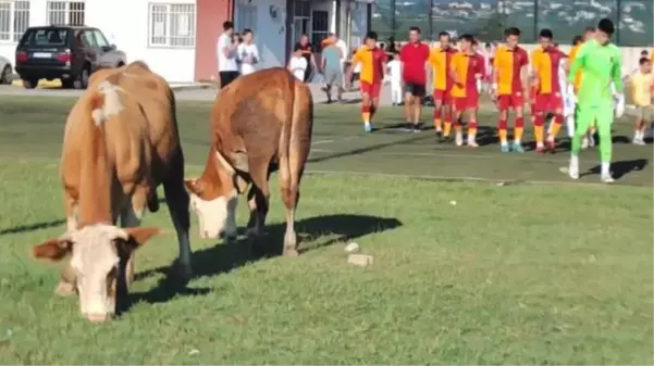 Türkiye Futbol Federasyonu, Rezerv Lig'i iptal etti! Akıllarda tek bir kare kaldı