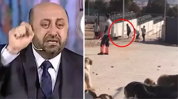 Konya'daki köpek katliamı sonrası Ömer Döngeloğlu'nun videosu yeniden viral oldu