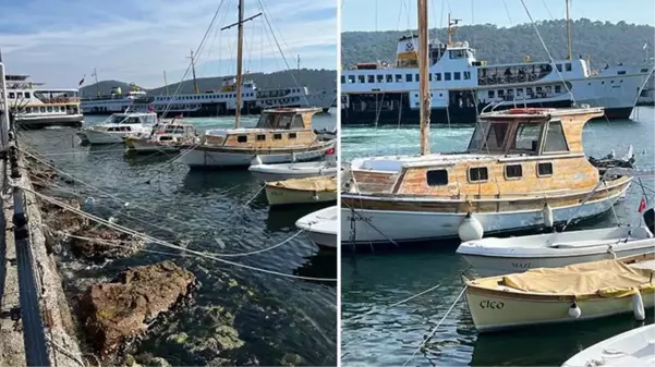 Burgazada'da dümeni kilitlenen yolcu vapuru paniğe neden oldu