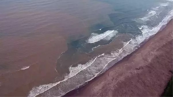 Şaşırtan görüntü! Karadeniz çamura büründü