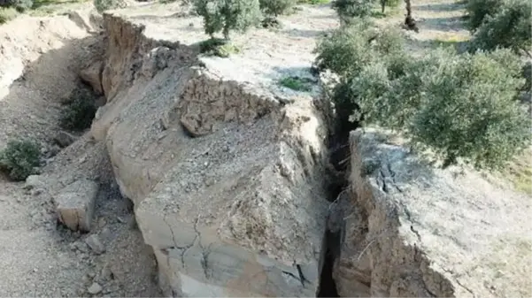 Deprem sonrasında hayrete düşüren görüntüler! Hatay'da zeytin bahçesinde sarsıntılar sonrasında dev yarıklar oluştu