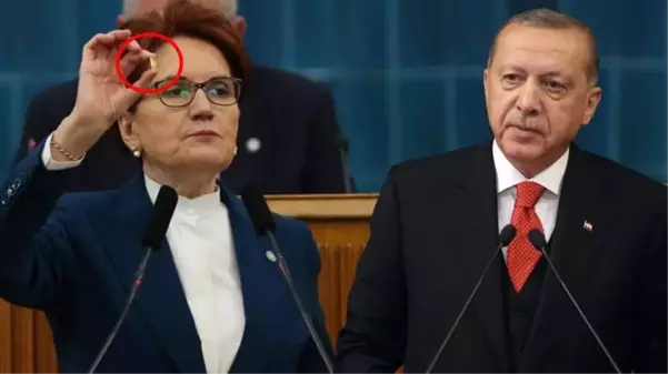 Akşener'den çok konuşulacak çıkış: O kovanlar Erdoğan'a mesajdı