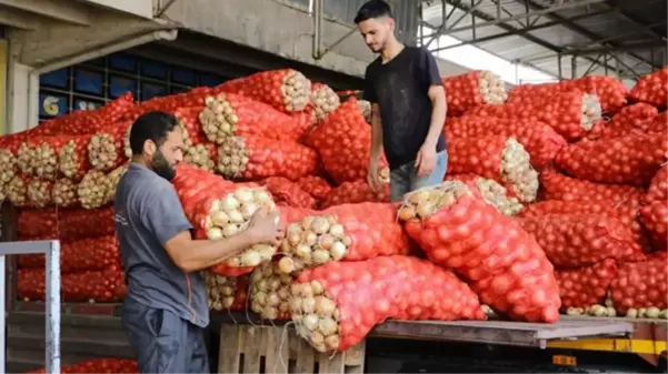 Soğanla ilgili vatandaşın beklediği haber geldi: Fiyatlar düşecek