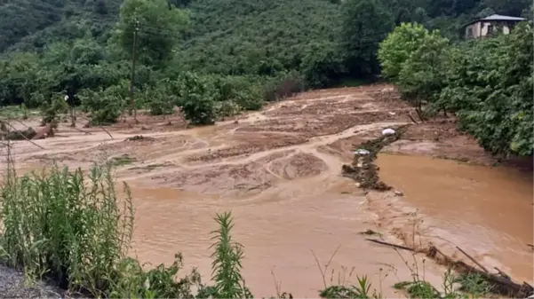 Giresun'da sel felaketi! Ev ve iş yerleri su altında kaldı, 1 kişiden haber alınamıyor