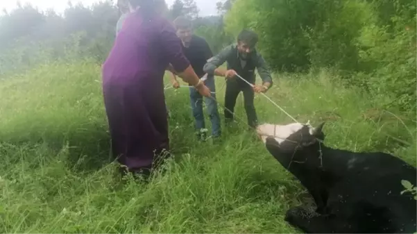 Sahibinden kaçan kurbanlık 4 kişiyi yaraladı, 6 saatte yakalanabildi