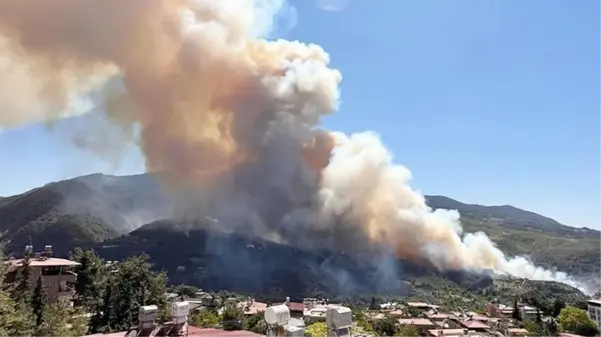 Hatay'da orman yangını! Ekipler hem karadan hem havadan müdahale ediyor