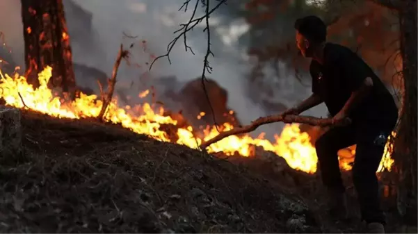 Antalya, Eskişehir, Bolu, Bayburt ve Bingöl'de peş peşe orman yangını! Alevlere müdahale devam ediyor