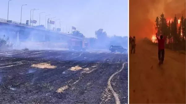 Yunanistan'daki orman yangını Türkiye sınırına kadar ulaştı, İpsala Sınır Kapısı kapatıldı