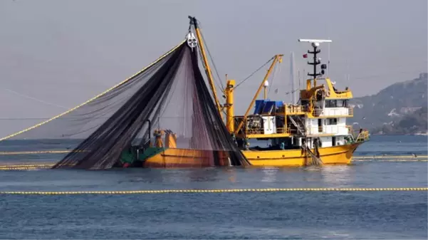 Denizlerde av yasağı 1 Eylül'de kalkıyor! Bu sene 3 balık türünde bolluk bekleniyor