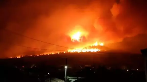 Türkiye, Yunanistan'a yangınlarla mücadele için yardım teklif etti