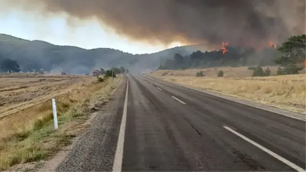 Eskişehir orman yangını çıktı, Seyitgazi-Afyonkarahisar kara yolu trafiğe kapatıldı