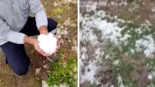 Tunceli'den ağustos ayında şaşırtan görüntü! Sıcaklık 10 dereceye kadar düştü, dolu her yeri beyaza bürüdü